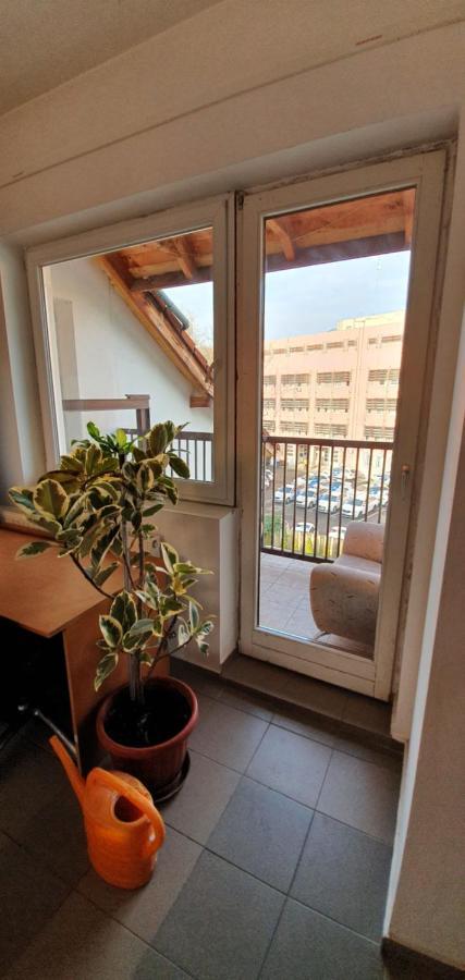 Romzsa Todor Kollegium Hostel แซแก็ด ภายนอก รูปภาพ