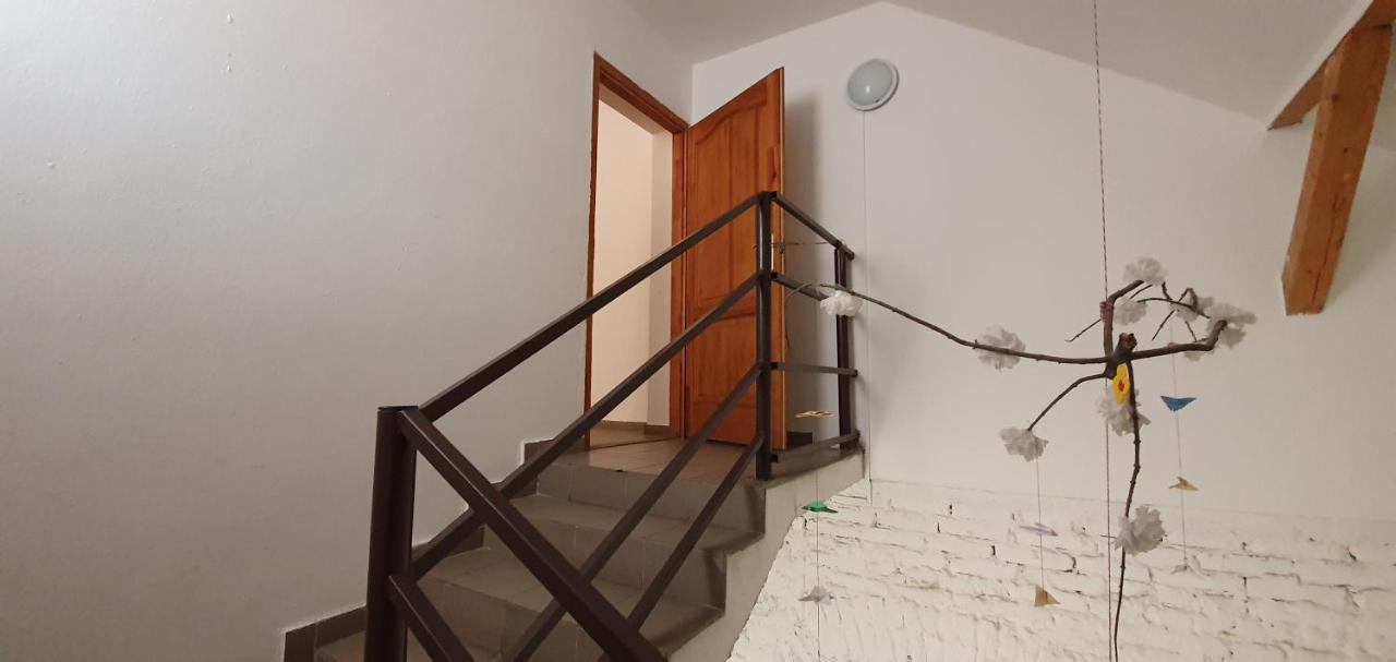 Romzsa Todor Kollegium Hostel แซแก็ด ภายนอก รูปภาพ