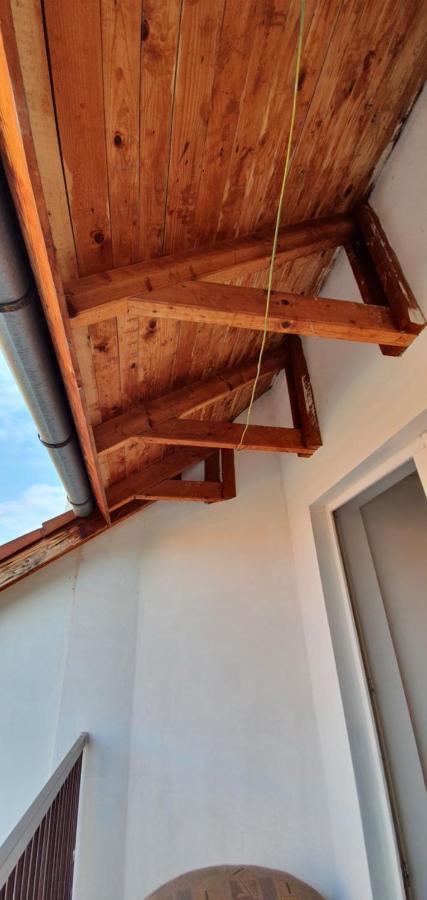 Romzsa Todor Kollegium Hostel แซแก็ด ภายนอก รูปภาพ